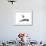 California Seagull, 2012,-Nancy Moniz Charalambous-Framed Giclee Print displayed on a wall