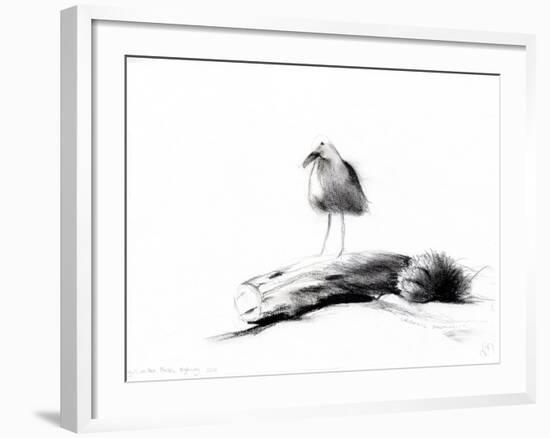 California Seagull, 2012,-Nancy Moniz Charalambous-Framed Giclee Print