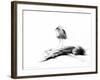 California Seagull, 2012,-Nancy Moniz Charalambous-Framed Giclee Print