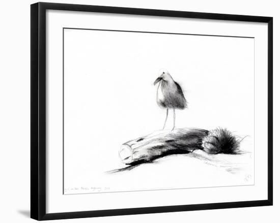 California Seagull, 2012,-Nancy Moniz Charalambous-Framed Giclee Print