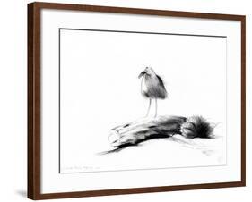 California Seagull, 2012,-Nancy Moniz Charalambous-Framed Giclee Print