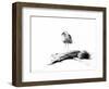 California Seagull, 2012,-Nancy Moniz Charalambous-Framed Giclee Print