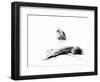 California Seagull, 2012,-Nancy Moniz Charalambous-Framed Giclee Print