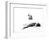 California Seagull, 2012,-Nancy Moniz Charalambous-Framed Giclee Print