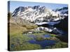 California, Sierra Nevada, a Tarn in the Hoover Wilderness in Inyo Nf-Christopher Talbot Frank-Stretched Canvas