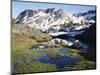 California, Sierra Nevada, a Tarn in the Hoover Wilderness in Inyo Nf-Christopher Talbot Frank-Mounted Photographic Print