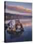 California, Sierra Nevada, a Tufa Formation on the Shore of Mono Lake-Christopher Talbot Frank-Stretched Canvas
