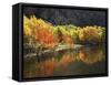 California, Sierra Nevada, Autumn Aspen Trees Reflecting in Grant Lake-Christopher Talbot Frank-Framed Stretched Canvas