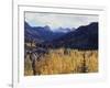 California, Sierra Nevada, Autumn Aspens in the Bishop Creak Area-Christopher Talbot Frank-Framed Photographic Print