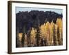 California, Sierra Nevada, Autumn Aspens in the Bishop Creak Area-Christopher Talbot Frank-Framed Photographic Print