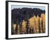 California, Sierra Nevada, Autumn Aspens in the Bishop Creak Area-Christopher Talbot Frank-Framed Photographic Print