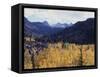 California, Sierra Nevada, Autumn Aspens in the Bishop Creak Area-Christopher Talbot Frank-Framed Stretched Canvas