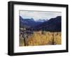 California, Sierra Nevada, Autumn Aspens in the Bishop Creak Area-Christopher Talbot Frank-Framed Photographic Print