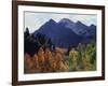 California, Sierra Nevada, Autumn Aspens in the Mcgee Creak Area-Christopher Talbot Frank-Framed Photographic Print