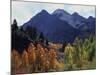 California, Sierra Nevada, Autumn Aspens in the Mcgee Creak Area-Christopher Talbot Frank-Mounted Photographic Print