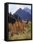 California, Sierra Nevada, Autumn Aspens in the Mcgee Creak Area-Christopher Talbot Frank-Framed Stretched Canvas