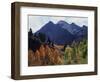 California, Sierra Nevada, Autumn Aspens in the Mcgee Creak Area-Christopher Talbot Frank-Framed Photographic Print