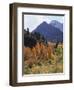 California, Sierra Nevada, Autumn Aspens in the Mcgee Creak Area-Christopher Talbot Frank-Framed Photographic Print