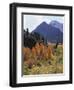 California, Sierra Nevada, Autumn Aspens in the Mcgee Creak Area-Christopher Talbot Frank-Framed Photographic Print