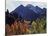 California, Sierra Nevada, Autumn Aspens in the Mcgee Creak Area-Christopher Talbot Frank-Stretched Canvas