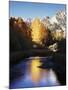 California, Sierra Nevada, Autumn Aspens Reflecting in Bishop Creek-Christopher Talbot Frank-Mounted Premium Photographic Print