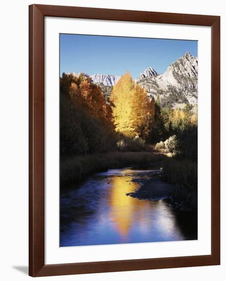 California, Sierra Nevada, Autumn Aspens Reflecting in Bishop Creek-Christopher Talbot Frank-Framed Photographic Print