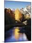 California, Sierra Nevada, Autumn Aspens Reflecting in Bishop Creek-Christopher Talbot Frank-Mounted Photographic Print