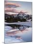 California, Sierra Nevada, Dana Peak Reflecting in a Frozen Lake-Christopher Talbot Frank-Mounted Photographic Print