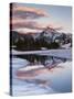 California, Sierra Nevada, Dana Peak Reflecting in a Frozen Lake-Christopher Talbot Frank-Stretched Canvas