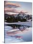 California, Sierra Nevada, Dana Peak Reflecting in a Frozen Lake-Christopher Talbot Frank-Stretched Canvas