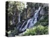 California, Sierra Nevada, Eldorado Nf, a Waterfall at Woods Lake-Christopher Talbot Frank-Stretched Canvas