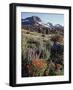 California, Sierra Nevada. Indian Paintbrush, Castilleja, and Lupine-Christopher Talbot Frank-Framed Photographic Print