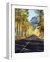 California, Sierra Nevada, Inyo Nf, a Road Through Aspens-Christopher Talbot Frank-Framed Photographic Print