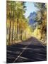 California, Sierra Nevada, Inyo Nf, a Road Through Aspens-Christopher Talbot Frank-Mounted Photographic Print