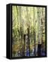 California, Sierra Nevada, Inyo Nf, Aspen Trees Along Rush Creek-Christopher Talbot Frank-Framed Stretched Canvas