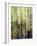 California, Sierra Nevada, Inyo Nf, Aspen Trees Along Rush Creek-Christopher Talbot Frank-Framed Photographic Print