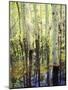 California, Sierra Nevada, Inyo Nf, Aspen Trees Along Rush Creek-Christopher Talbot Frank-Mounted Photographic Print