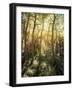 California, Sierra Nevada, Inyo Nf, Autumn Aspen Forest-Christopher Talbot Frank-Framed Photographic Print