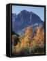 California, Sierra Nevada, Inyo Nf, Autumn Aspens Below Mountain Peak-Christopher Talbot Frank-Framed Stretched Canvas