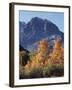 California, Sierra Nevada, Inyo Nf, Autumn Aspens Below Mountain Peak-Christopher Talbot Frank-Framed Photographic Print