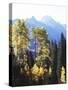 California, Sierra Nevada, Inyo Nf, Autumn Aspens Below Mountain Peak-Christopher Talbot Frank-Stretched Canvas