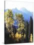 California, Sierra Nevada, Inyo Nf, Autumn Aspens Below Mountain Peak-Christopher Talbot Frank-Stretched Canvas