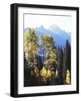 California, Sierra Nevada, Inyo Nf, Autumn Aspens Below Mountain Peak-Christopher Talbot Frank-Framed Photographic Print