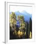 California, Sierra Nevada, Inyo Nf, Autumn Aspens Below Mountain Peak-Christopher Talbot Frank-Framed Photographic Print