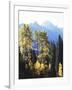 California, Sierra Nevada, Inyo Nf, Autumn Aspens Below Mountain Peak-Christopher Talbot Frank-Framed Photographic Print