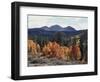California, Sierra Nevada, Inyo Nf, Autumn Aspens Below Mountains-Christopher Talbot Frank-Framed Photographic Print