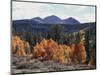 California, Sierra Nevada, Inyo Nf, Autumn Aspens Below Mountains-Christopher Talbot Frank-Mounted Photographic Print