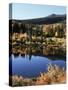 California, Sierra Nevada, Inyo Nf, Autumn Aspens Reflecting in a Pond-Christopher Talbot Frank-Stretched Canvas