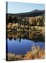 California, Sierra Nevada, Inyo Nf, Autumn Aspens Reflecting in a Pond-Christopher Talbot Frank-Stretched Canvas