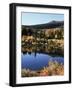 California, Sierra Nevada, Inyo Nf, Autumn Aspens Reflecting in a Pond-Christopher Talbot Frank-Framed Photographic Print